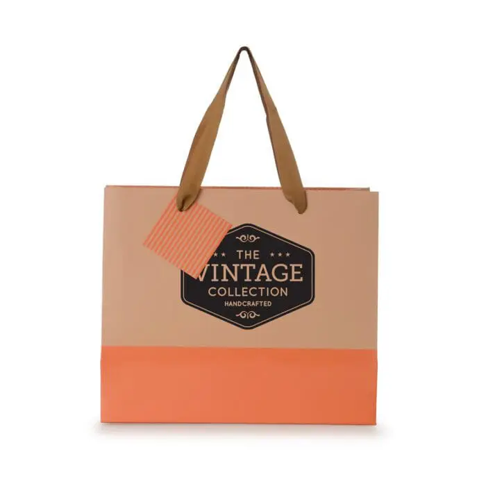 Branded paper gift bag with printed logo