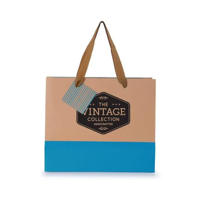 Promotional coloured paper gift bag with printed logo