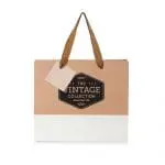 Promotional paper gift bag with printed logo