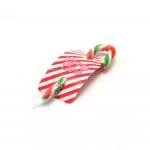 Branded striped eco info card with candy cane and printed logo on front