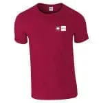 Branded Softstyle adult Ringspun t-shirt in purple with printed logo