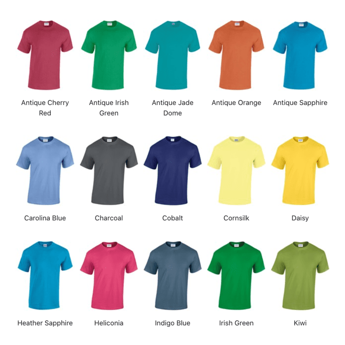 Custom-branded heavy cotton adult t-shirt with printed logo in various colours