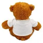 Promotional Anne 17cm Teddy Bear rear view with printed logo or design on T-Shirt