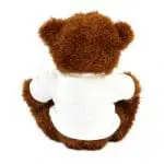 Promotional James 18cm Brown Teddy Bear rear view with printed logo or design on T-Shirt