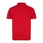 Branded Roly Austral Unisex Colour Polo Shirt in assorted colours with printed logo or design