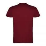 Personalised Beagle Short Sleeve Men's Colour T-Shirt in assorted colours printed with logo or design