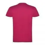 Personalised Beagle Short Sleeve Men's Colour T-Shirt in assorted colours printed with logo or design