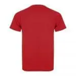 Personalised Roly Montecarlo Men's Sports T-Shirt in assorted colours with printed logo or design