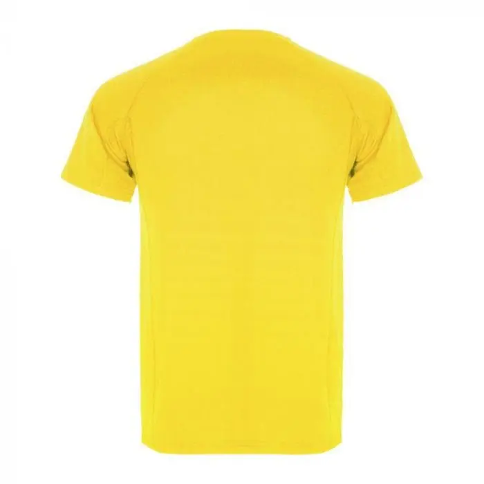 Personalised Roly Montecarlo Men's Sports T-Shirt in assorted colours with printed logo or design