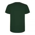 Custom-Branded Roly Stafford Men's Colour T-Shirt in assorted colours with printed logo or design