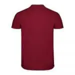 Personalised Roly Star Men's Coloured Polo Shirt in assorted colours with printed logo or design