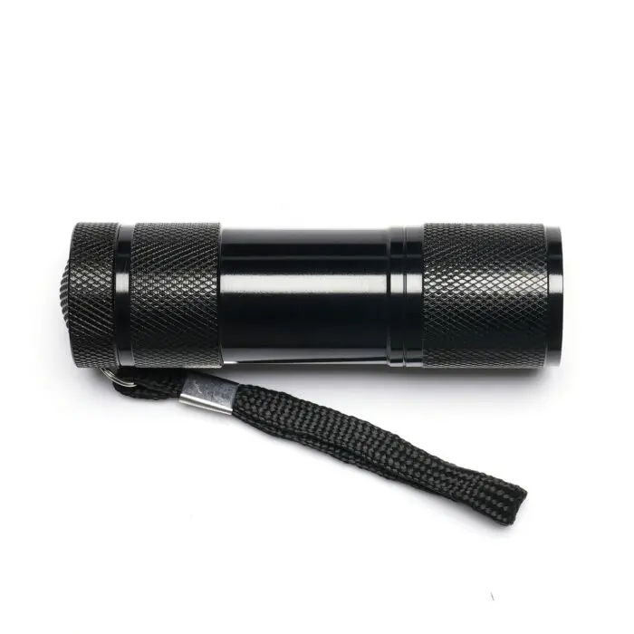 sycamore solo torch 3