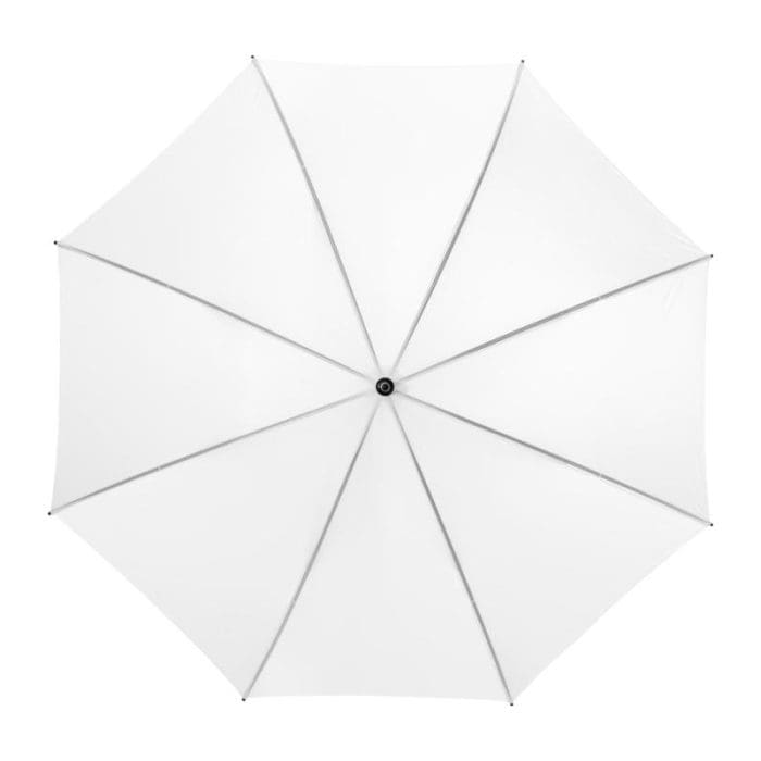 Barry Auto Opening Umbrella 2