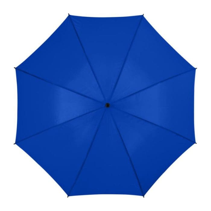 Barry Auto Opening Umbrella 4