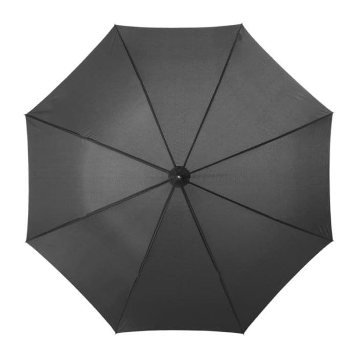 Lisa Auto Open Umbrella with Wooden Handle 12