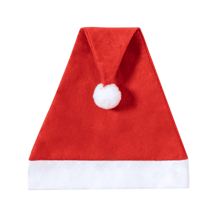 Express Santa Hat 2