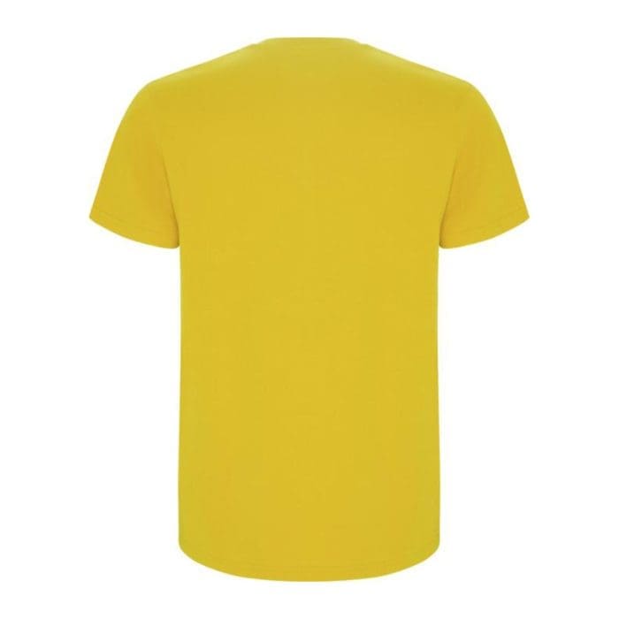 Roly Stafford Mens Colour T Shirt 4