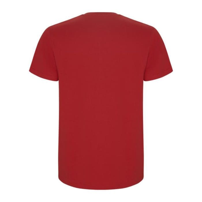 Roly Stafford Mens Colour T Shirt 5