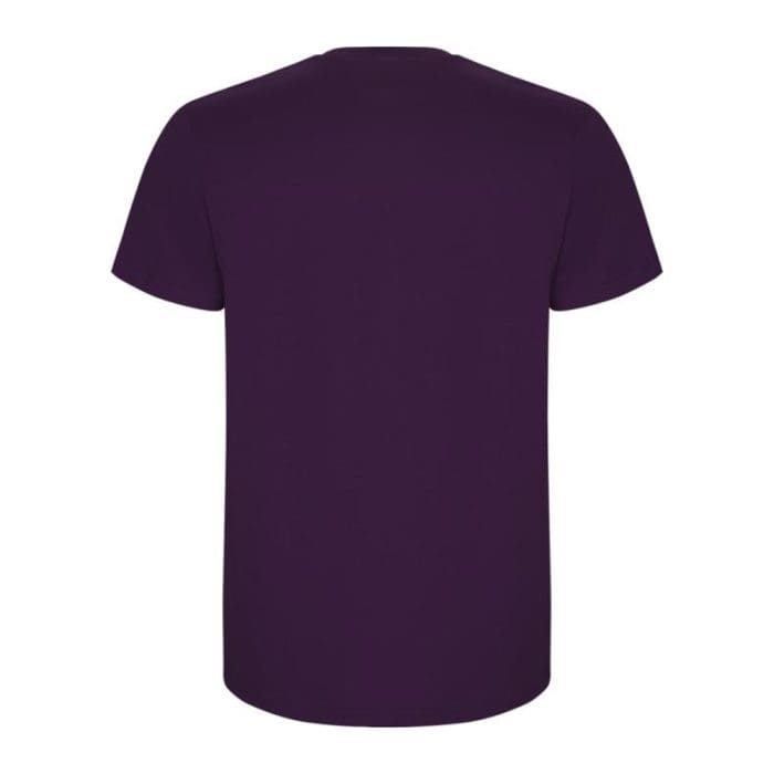 Roly Stafford Mens Colour T Shirt 8