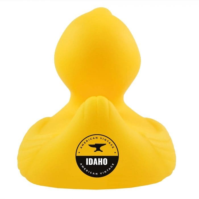 Squeaky Rubber Bath Duck 4